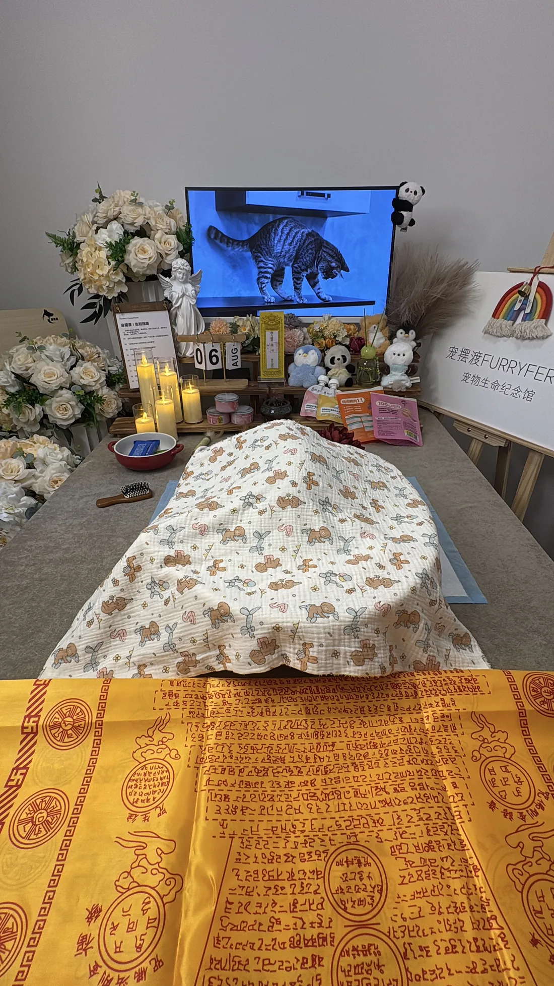 哈尔滨宠物告别仪式中的鲜花与纪念照片